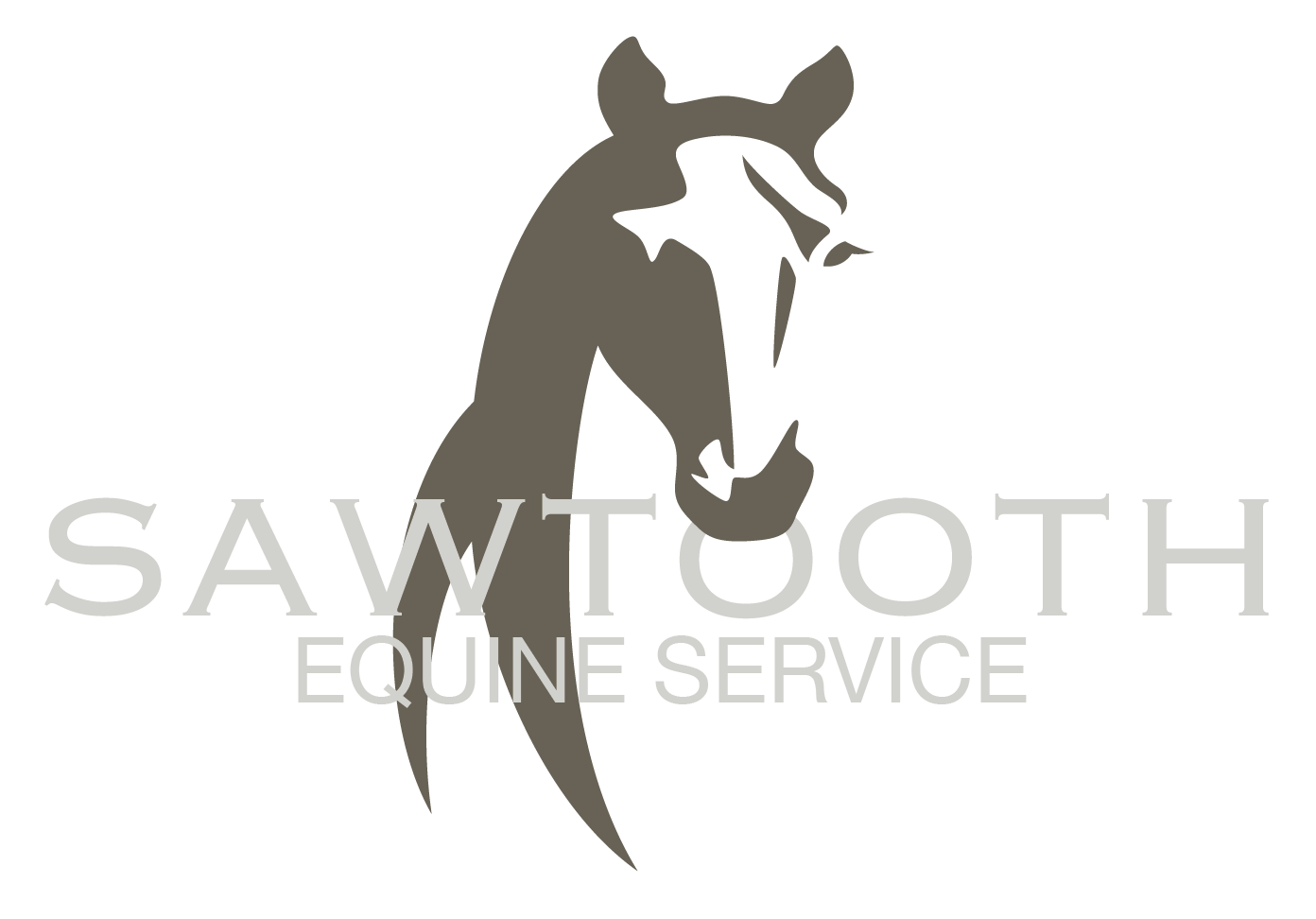 Sawtooth Equine Service