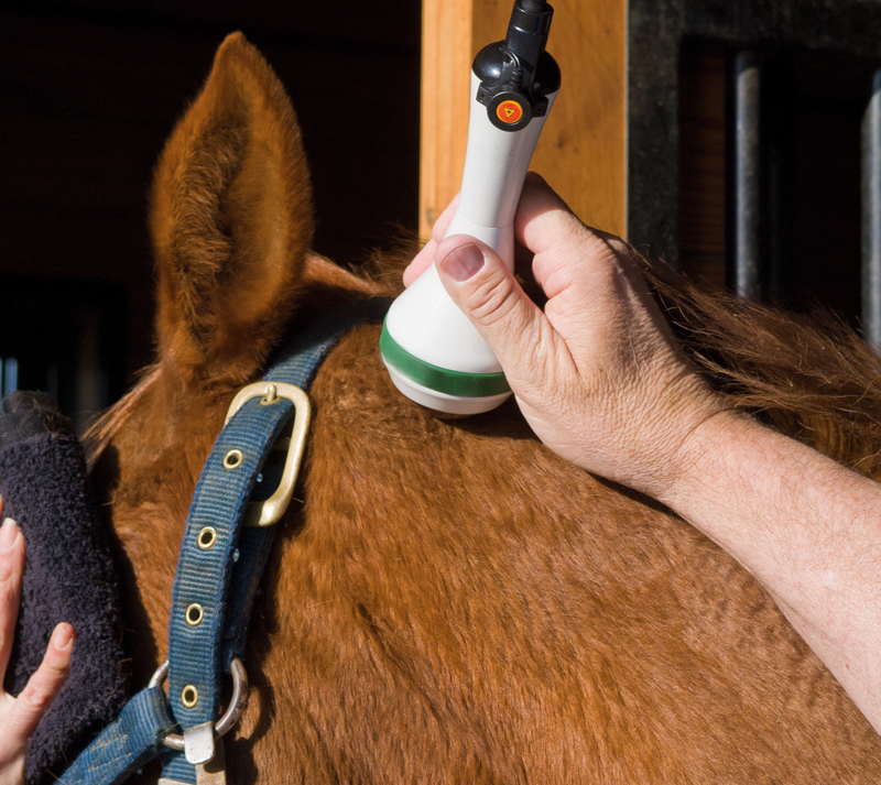 Laser therapy….for horses?